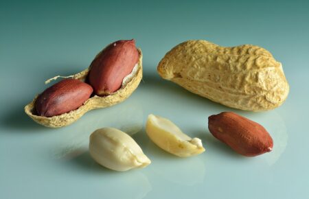 peanuts in shell