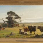 cows in a meadow