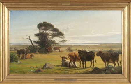 cows in a meadow